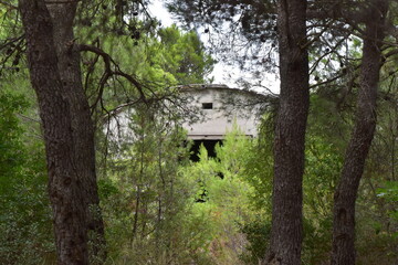Fototapeta na wymiar Abandoned building in woods