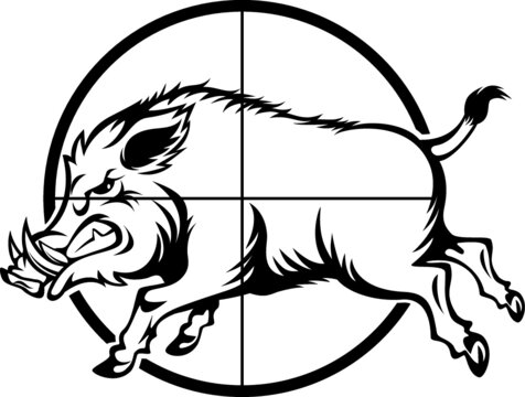 wild boar in gun scope crosshair sight 