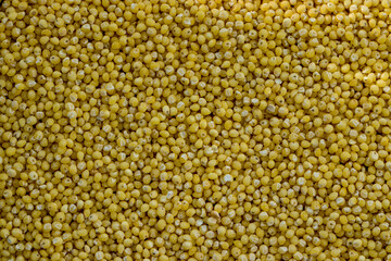 Millet. Millet texture background. Millet background. Groats. Texture.