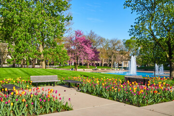 City park with fountains and stunning spring tulip garden of all colors