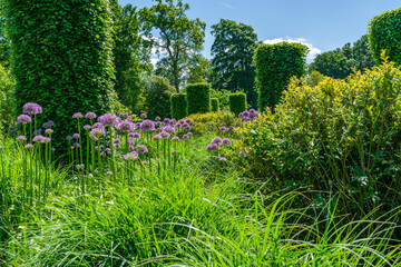 English garden with blooming flowers in early summer