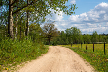 Rural scene with road and horse paddock on a sunny day in May in Ropazi in Latvia