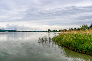 Reichenau, Insel Reichenau, Bodensee, Seeufer, Schilf, Wasservögel, Naturschutz, Uferweg, Wanderweg, Boote, Fischerboote, Sommer, Frühling, Baden-Württemberg, Deutschland