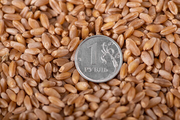 Top view of ruble coin on wheat in deficit concept