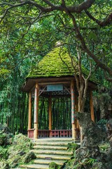 Fototapeta na wymiar Chengdu park horticulture