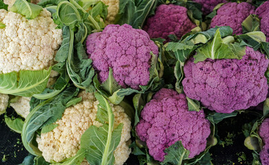 Vibrant organic cauliflower in white and purple varieties, fresh from the field, displayed at a...