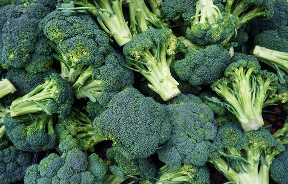 Vivid green organic broccoli crowns fill a display at an outdoor farmers market with the promise of healthy, natural food
