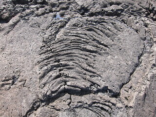 Solidified lava ripples. Black volcanic rock with frozen lava waves from Onekahakaha beach park, Hilo, Hawaii.