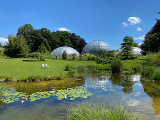 The Botanical Garden of the University of Zurich or Botanischer Garten der Universität Zürich...