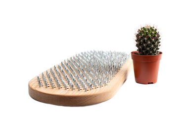 Sadhu board isolated on white background. The practice of standing on nails. Yoga concept.