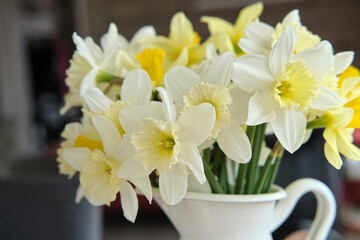 Beautiful bouquet of white and yellow daffodils in white jug. Close-up.