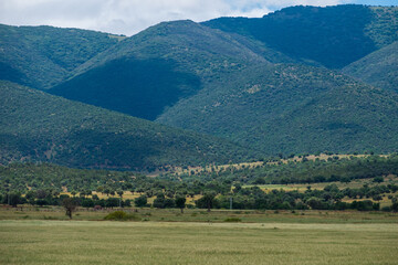 Fototapeta na wymiar Scenic view of Djebel Bouaarif, in the Aures Mountains, Batna, Algeria