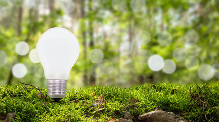 Light bulb in nature against blurred green forest background.  Environment and ecology concept. Renewable, sustainable energy. 