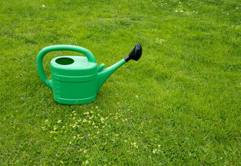 A large plastic watering can for watering garden plants stands on a green lawn. Gardening in summer.
