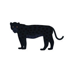 Vector illustration of black panther on a white background. Big cat.