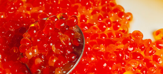 Spoon with fresh red caviar Trout caviar closeup. Russian delicacy