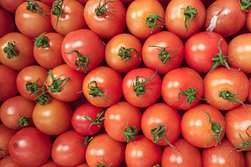 Lots of red tomatoes. View from above. A background of tomatoes.