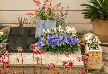schöne Blumen auf einem Grab
auf einem Friedhof in Spaniens Insel Mallorca