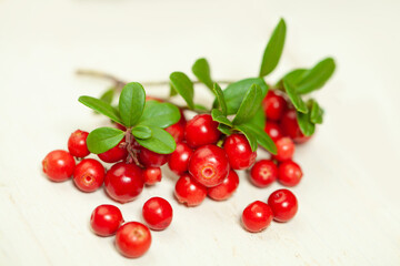Cowberry with green leaves on white background