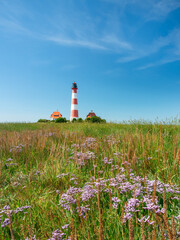Westerheversand Lighthouse in summer, Westerhever, Nordfriesland, Schleswig-Holstein, Germany