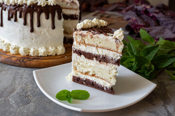 Sweet dessert: a piece of vanilla chocolate cake on a plate on a gray background. A piece of vanilla cake for breakfast. Close-up