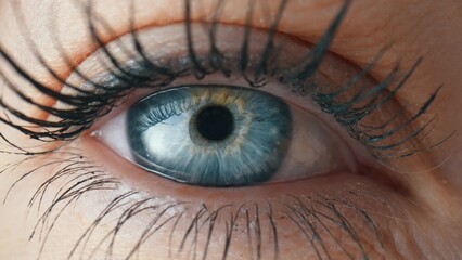 Opening and blinking female eye with a blue iris and long lashes painted with mascara. Gray eye...