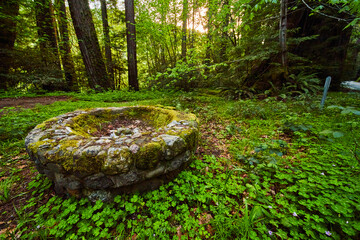 Ancient stone firepit in field of lush clovers and forest