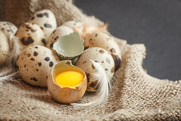 Fresh quail eggs on a dark background