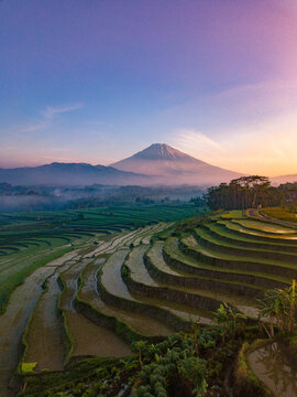 Terraced Rice field with mountain views in the background. The weather is foggy in sunrise time. It located in Kajoran Village, Magelang, Central Java