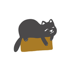 cat with a box