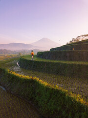 Beautiful terraced ricefield with mountain on the background with sunrise sky. a man is standing in between. Kajoran Ricefield with Mount Sumbing on the background.