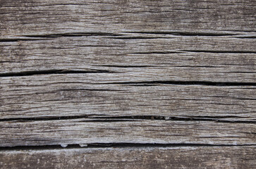 Autumn wooden background. A perfect rustic and grunge wallpaper for your products. 
