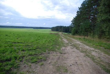 White-blue clouds over a green field. Large white clouds hung low over a large uneven field with green grass along the edges of which a forest grows. A sandy road can be seen at the edge of the floor.