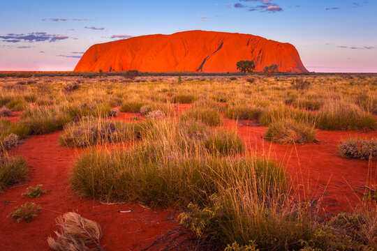 Uluru after sunset on a clear winter evening, Uluru-Kata Tjuta National Park, Northern Territory, Australia