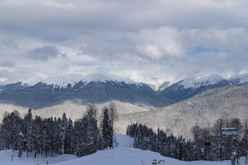 Beautiful winter landscape with snow covered trees and mountains peaks. Caucasus mountain view from Roza Khutor