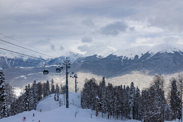 KRASNAYA POLYANA, RUSSIA - JANUARY 29, 2022: Beautiful snow landscape of snowy trees and ski lift of Roza Khutor ski resort. North part of mountains with cloudy weather.