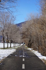 A quiet road during the winter