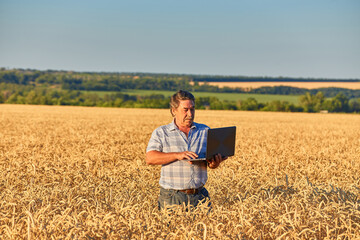 Portrait shot from a side on the caucasian farmer taping and typing on the laptop computer while being in the middle of the field.