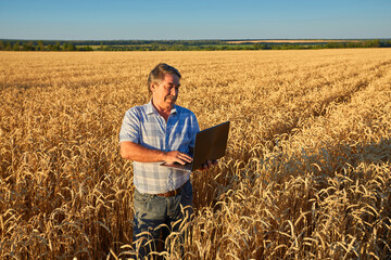 Naklejka na ściany i meble Portrait shot from a side on the caucasian farmer taping and typing on the laptop computer while being in the middle of the field.