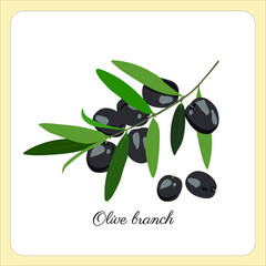 Illustration of Olive branch. Black branch of olives for the design of natural cosmetics, olive oil, medicine. Organics for a healthy lifestyle. Ripe black olives with leaves on white background.