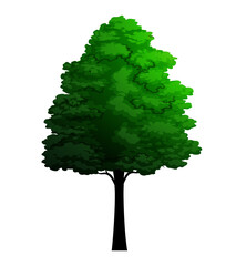 Green vector Tree isolated on white background. Park and Forest.
