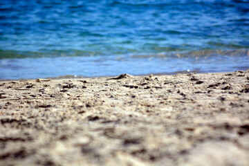 stone on the beach