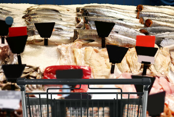  fresh fish seafood in supermarket.choosing a dairy products at supermarket.empty grocery cart in an empty supermarket