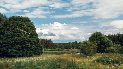 White flowers on green meadow, forest and lake on horizon and white clouds on blue sky