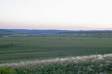Nature, field at sunset in summer.