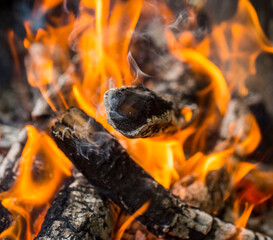 
oak firewood burns in fire .beautiful fire and coal. close-up shot of details of a fire with oak firewood