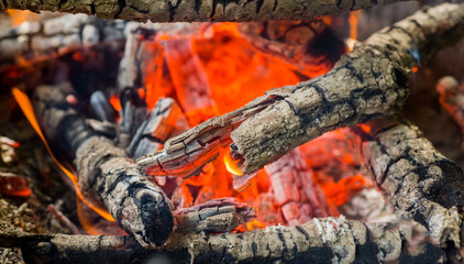 
oak firewood burns in fire .beautiful fire and coal. close-up shot of details of a fire with oak firewood