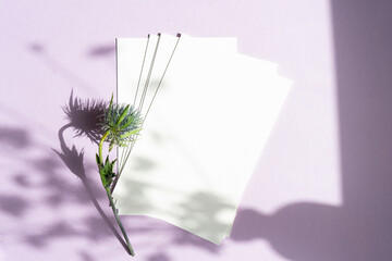 flowers and postcard.