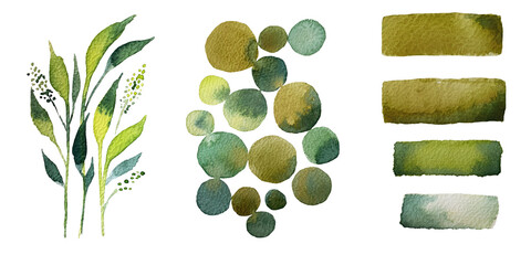 Set of watercolor design elements of a collection of flowers, leaves, branches, circles, botanical illustration on white background - obrazy, fototapety, plakaty
