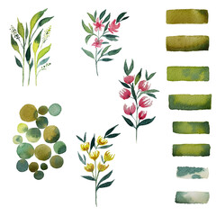 Set of watercolor design elements of a collection of flowers, leaves, branches, circles, botanical illustration on white background